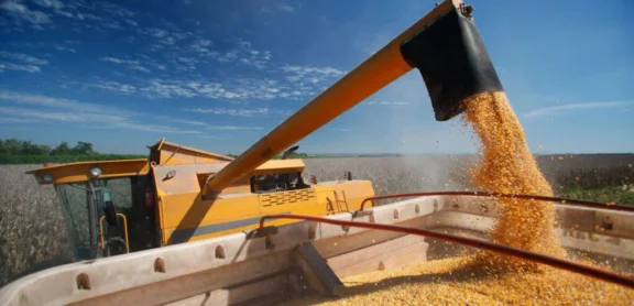 Illustration Corn harvest for the production of bioethanol